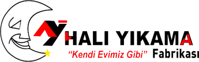 Ay Halı Yıkama