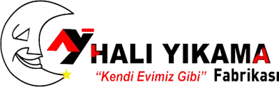 Ay Halı Yıkama